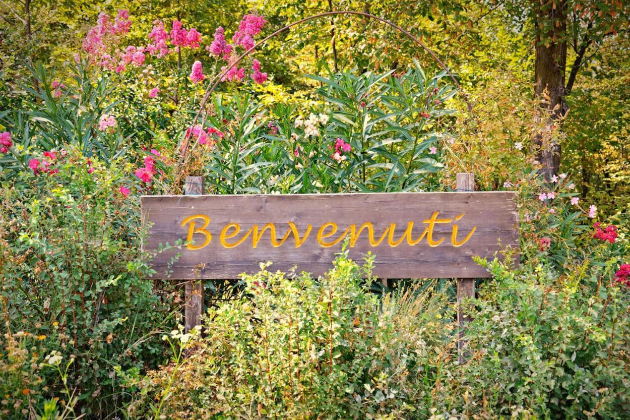 Agriturismo Il Porcellino Quinto di Valpantena Exterior foto